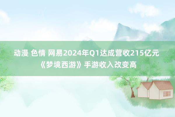 动漫 色情 网易2024年Q1达成营收215亿元 《梦境西游》手游收入改变高