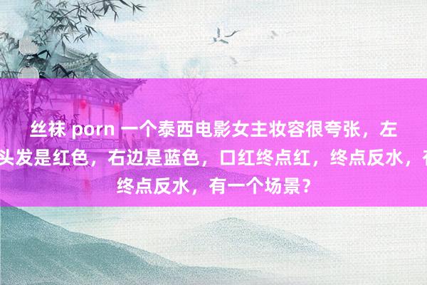 丝袜 porn 一个泰西电影女主妆容很夸张，左半边脸包括头发是红色，右边是蓝色，口红终点红，终点反水，有一个场景？