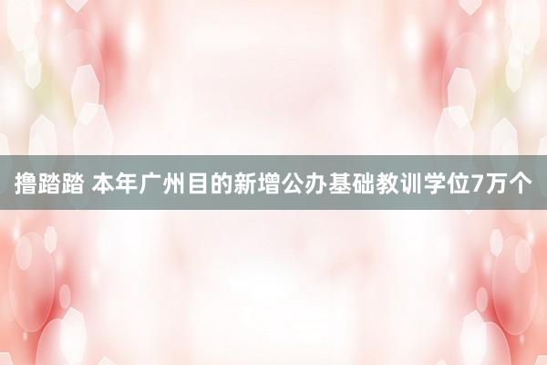 撸踏踏 本年广州目的新增公办基础教训学位7万个