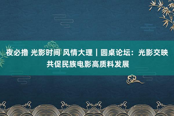 夜必撸 光影时间 风情大理｜圆桌论坛：光影交映 共促民族电影高质料发展